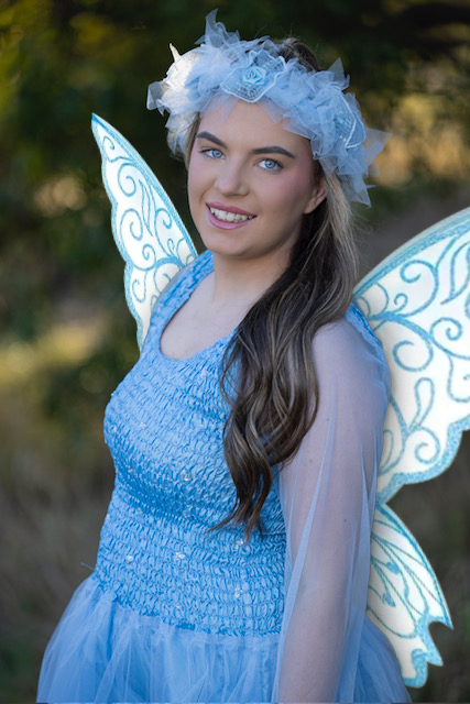 Dress, Headpiece and Wing Combo- Blue