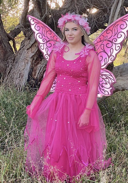 Dress, Headpiece and Wing Combo- Pink